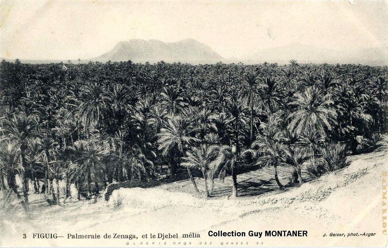 Figuig 014- Collection Montaner_2.jpg
